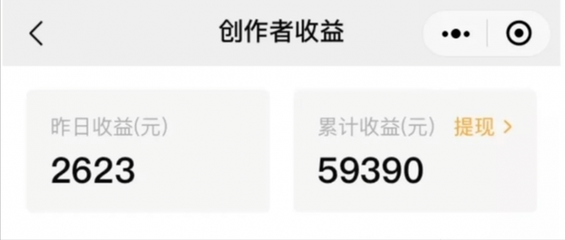 无门槛人人可做副业项目，视频搬砖收益，实测一天2000+！