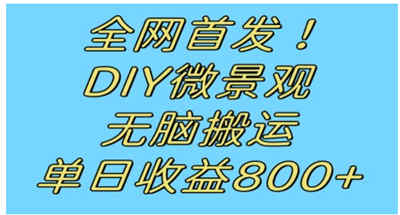 全网首发冷门赛道！DIY微景观，无脑搬运视频，日收益800+【揭秘】